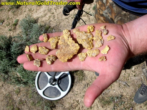 A Nice Handful of Placer Gold Nuggets