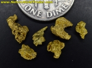 1.55 Grams (6) Northern Nevada Gold Nuggets