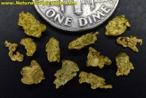 1.65 Grams (12) Nevada Gold Nuggets 