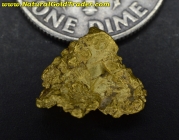 1.66 Gram Eastern Oregon Gold Nugget 