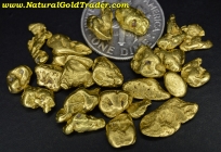 13.85 Grams (23) Alaska Placer Gold Nuggets