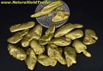 15.51 Grams (17) Alaska Placer Gold Nuggets