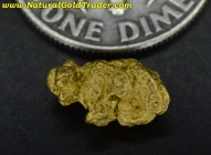 1.07 Gram Northern Nevada Gold Nugget
