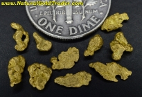 1.70 Grams (10) Nevada Gold Nuggets