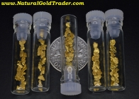 0.5 Gram Alaska Gold Pickers in Vial
