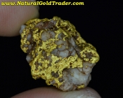 11.22 Gram Kalgoorlie Australia Gold & Quartz
