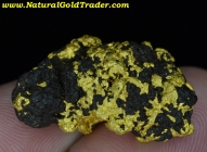 21.1 Gram Rare Australia Gold & Magnetite 