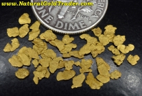 1 Gram Eastern Oregon Gold Flake Pay-Dirt