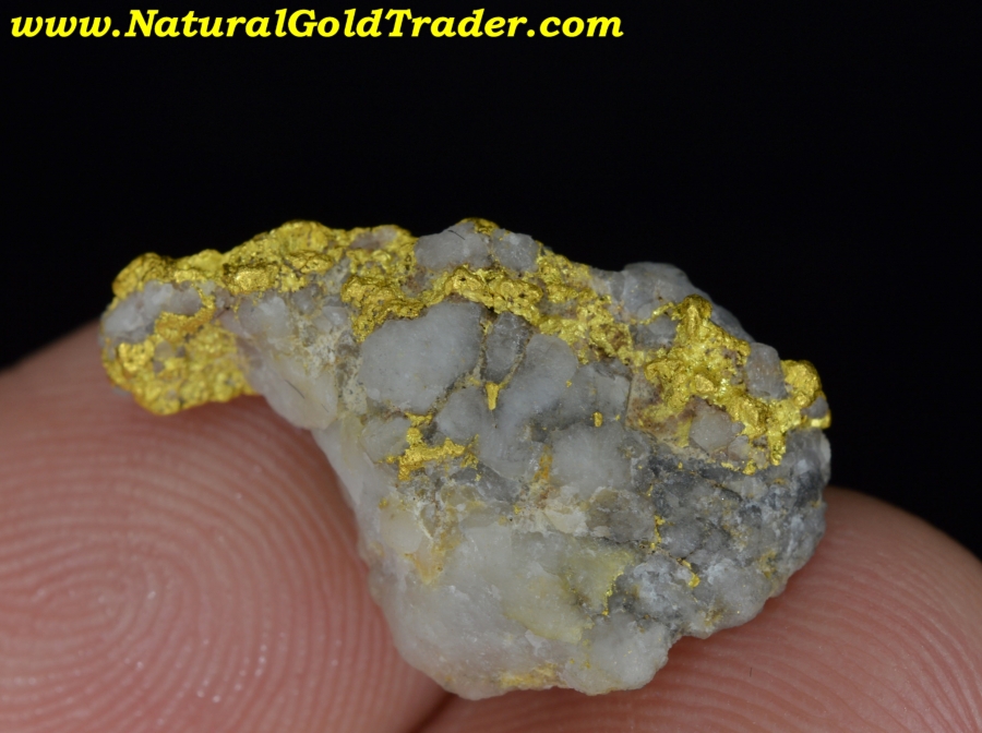 4.58 Gram Nevada Gold & Quartz Specimen
