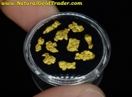 2.00 Grams (10) Nevada Placer Gold Nuggets