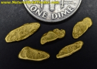 1.68 Grams (5) Plumas Co. California Nuggets 