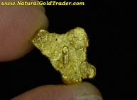 1.31 Gram Northern Nevada Gold Nugget