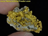 11.88 Gram Mohave Ca. Gold / Schist / Caliche