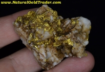 51.1 Gram California Gold & Quartz Specimen 