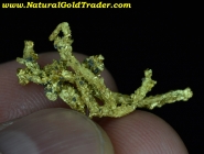 2.02 Gram Kennedy Mine California Gold Specimen