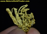 6.23 Gram Kennedy Mine California Gold Specimen