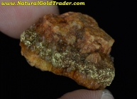 11.20 Gram Tuscarora Nevada Gold & Quartz