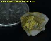 1.64 Gram Alaska Gold & Quartz Specimen