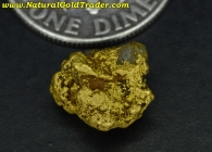 1.45 G. Mormon Basin Oregon Gold & Quartz