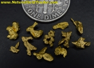 2.38 Grams (11) Zapata Venezuela Gold Crystals  
