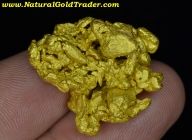 34.0 Gram Kalgoorlie Australia Gold Nugget