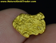 1.61 Gram Humboldt Co. Nevada Gold Nugget