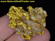 32.6 Gram California Gold & Quartz Specimen 