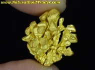 6.02 Gram Placer California Gold Specimen