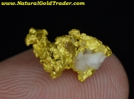 1.33 Gram Mariposa California Gold & Quartz