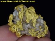 37.53 Gram Kalgoorlie Australia Gold & Quartz