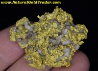 65.2 Gram Australia Gold & Quartz Specimen