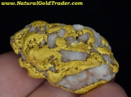 55.05 Gram Sonora Mexico Gold & Quartz