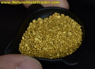 1 ozt.+ 31.12 Grams of Arizona Placer Gold