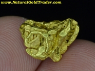 2.05 Gram Chicken Creek Alaska Gold Specimen