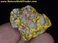 36.96 Gram Sonora Mexico Gold & Quartz