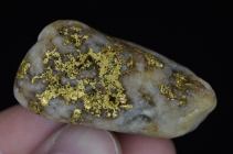 46.3 Gram Idaho Gold & Quartz