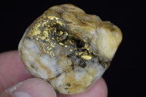 45.4 Gram Idaho Gold & Quartz Specimen