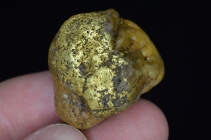 29.0 Gram Idaho Gold & Quartz Specimen