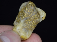 21.6 Gram Idaho Gold & Quartz Specimen