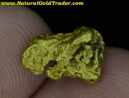 1.46 Gram Arizona Placer Gold Nugget