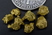 3.14 Grams (7) Oregon Gold Nuggets