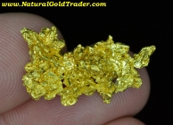 5.75 Gram Northern California Gold Specimen