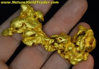 187.54 Gram Wedderburn Australia Gold Nugget