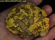 404.92 Gram La Cienega Mexico Gold Specimen 