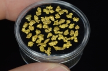 3.33 Grams of Nevada Gold Nuggets