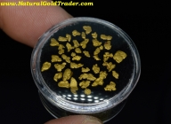 1.48 Grams of Montana Gold Picker/Nuggets