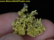 7.88 Gram Belshazzar Idaho Gold Specimen