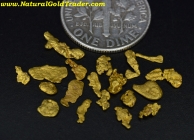 1.45 Grams (20) North Carolina Gold Nuggets