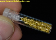 1.51 Grams of Little River Tennessee Placer Gold