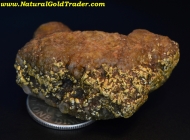 51.8 Gram Tuscarora NV Gold & Quartz Specimen